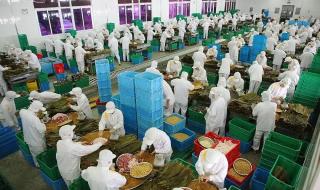 粽子自动化生产线 粽子自动化生产线