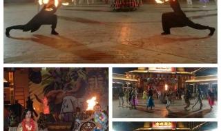 厦门马戏团 厦门马戏团